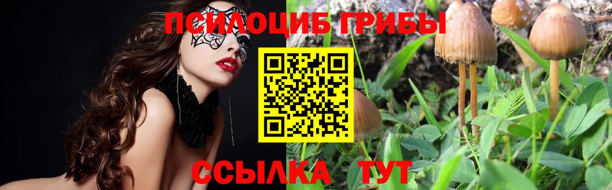 Псилоцибиновые грибы MAGIC MUSHROOMS  Вход с VPN  Елизово 